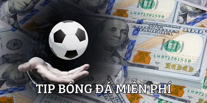 Tip bóng đá miễn phí mang đến những gợi ý soi kèo chuẩn xác