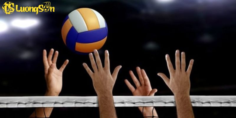 Những kèo cá độ bóng chuyền phổ biến nhất hiện nay