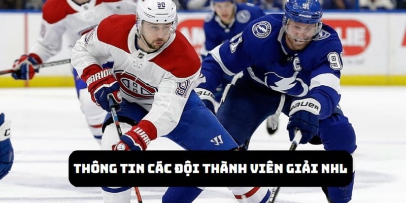 Một mùa giải NHL sẽ gồm có 32 đội cùng nhau tranh tài